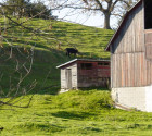 Stock Image of a Dairy Farm