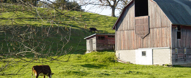 Stock Image of a Dairy Farm