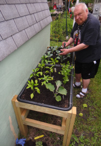 Image: Bucket List Raised Garden Bed-Planting