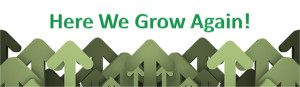 Image: here we grow again arrows