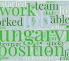 Image word cloud Job Coaching Header