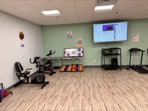 Gym . Exercise Room 2 - VDP