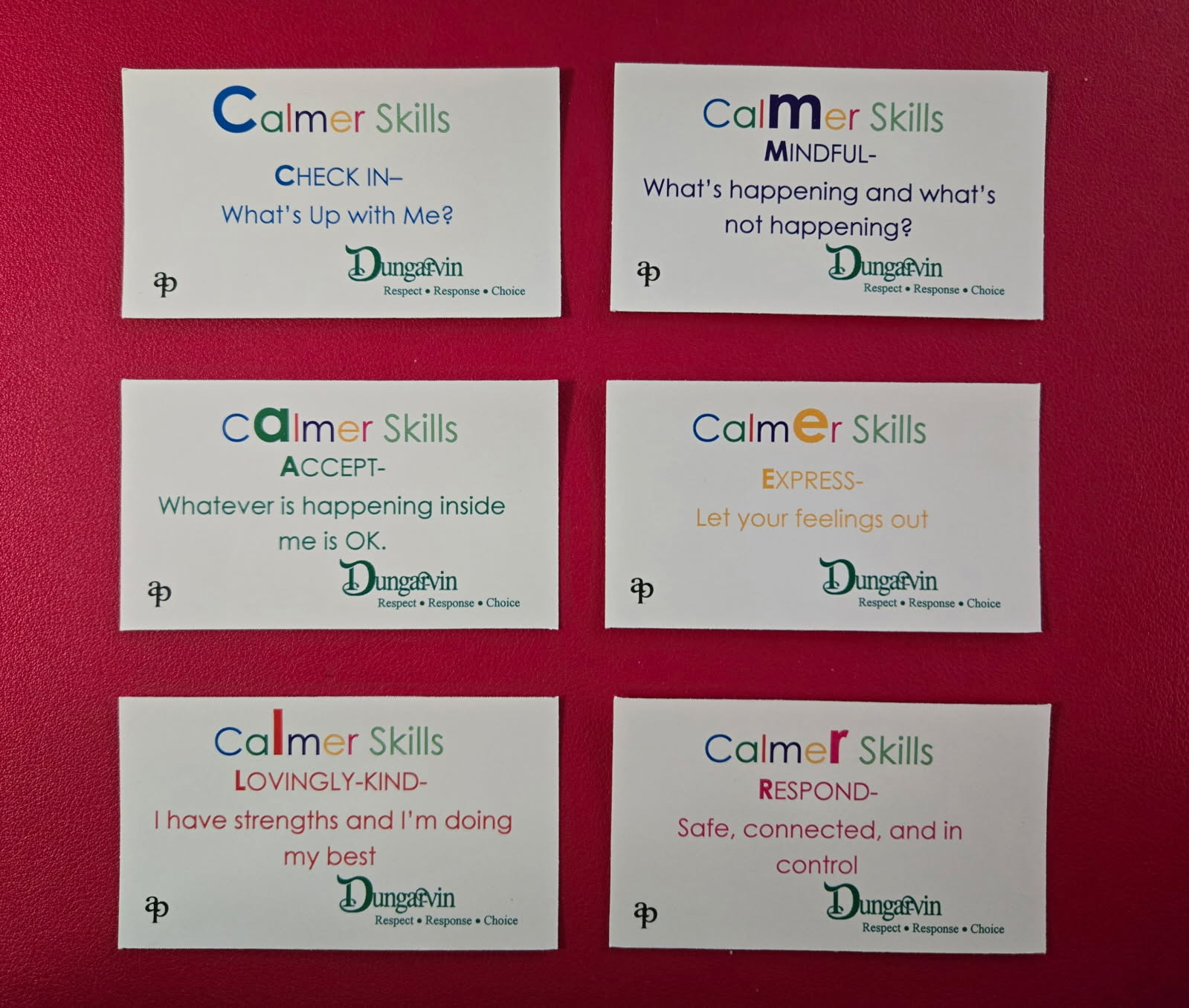 Dungarvin Ohio Workplace Culture and Trauma Informed Care Response Initiative