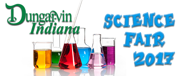 First Ever Dungarvin Indiana Science Fair!